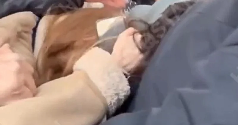 Девушки оттаскали друг друга за волосы из за места в автобусе в Атырау