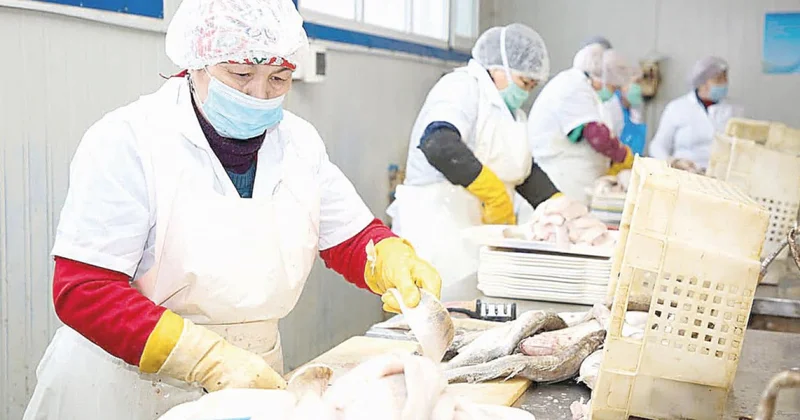 Балық шаруашылығында береке бар