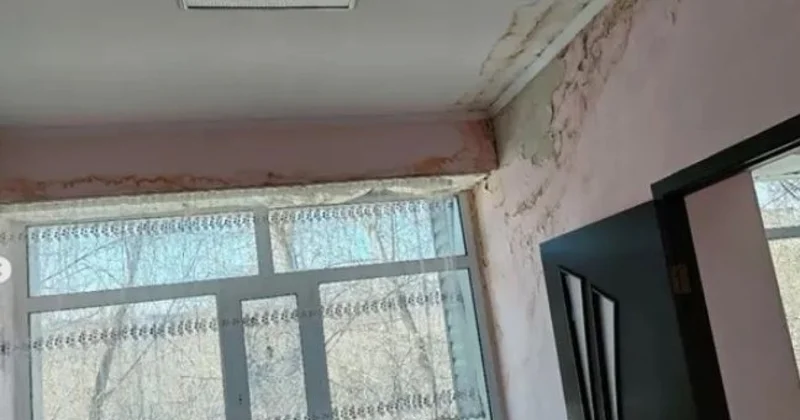 Крыша течет, стены в грибке: жители бьют тревогу из за плесени в больнице Темиртау