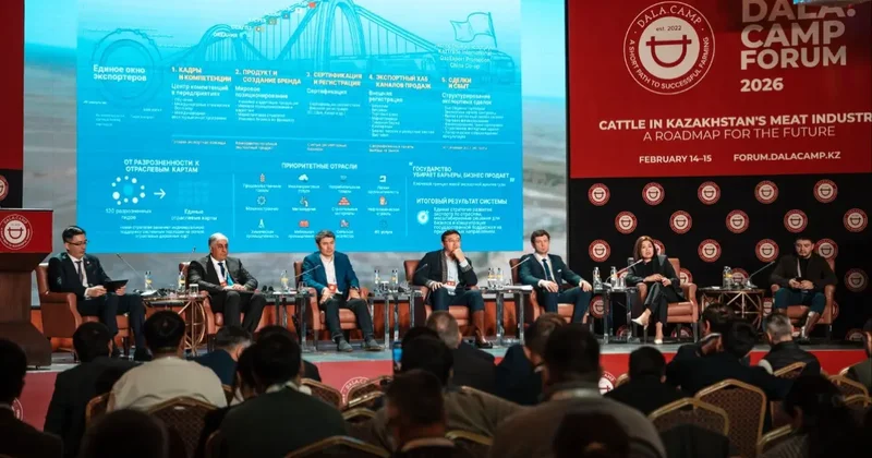 Бразилия мен Қазақстан: Жайылым шамалас болғанымен, неге мал санында айырмашылық үлкен?