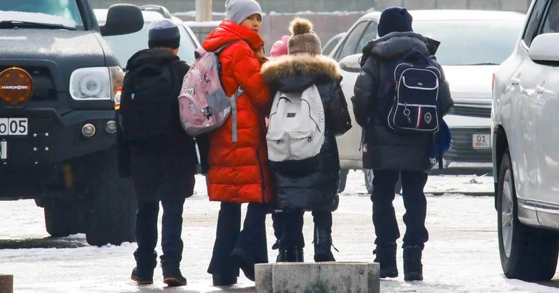 Мектеп оқушылары қандай қылмысқа көп барады