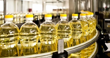 Казахстан планирует расширить переработку масличных культур