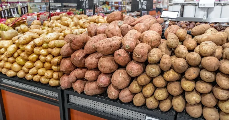 Сколько будет стоить картофель в Казахстане весной прогноз Минсельхоза