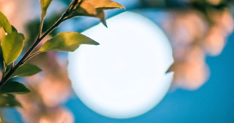 Как казахстанцы отдохнут в марте 2026 года