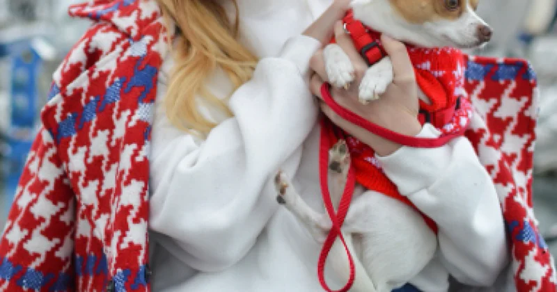 Женщина избила школьницу за лай собаки в Павлодаре