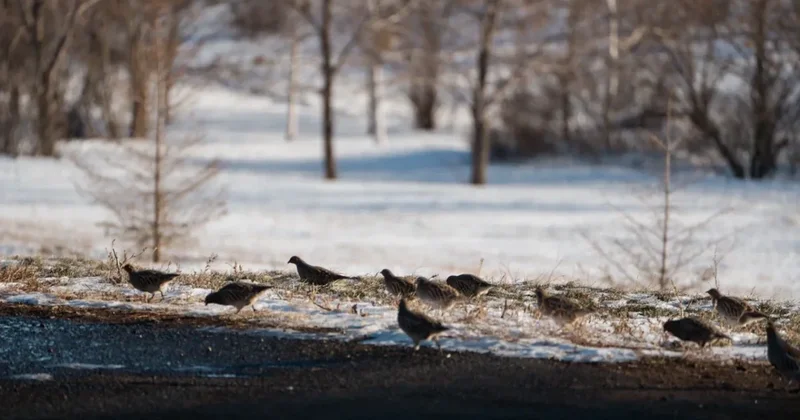 Синоптики шокировали прогнозом погоды на март в Астане