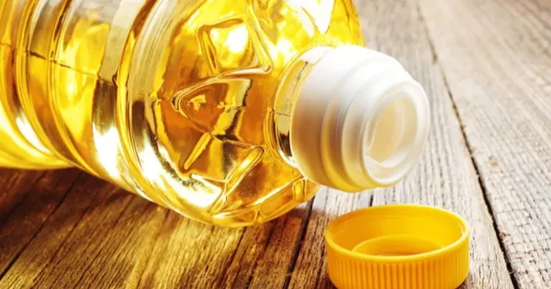 Растительное масло по 1300 тенге за литр. К чему приведёт снижение пошлины на экспорт подсолнечника