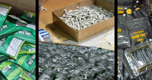 До 60 миллионов доз: три цеха по производству снюса ликвидированы в Туркестанской области