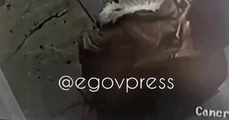 Обойдя, встал позади : житель Астаны получил 15 суток ареста за приставание к девочке в лифте