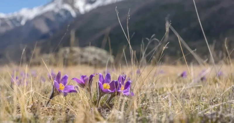 Март в Астане начнётся с морозов и закончится потеплением