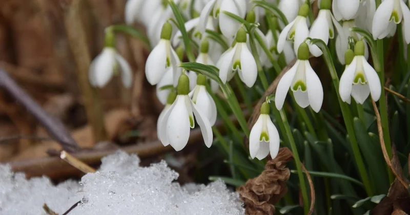 Март в Казахстане будет теплее, чем обычно