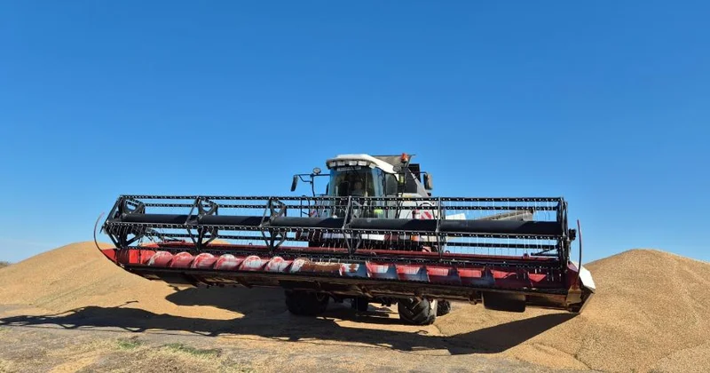 Ақмола облысында фермерлерге жылдық 5 пайызбен жеңілдетілген несие беріледі