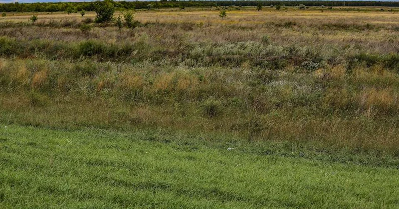 Сокращают дефицит пастбищ