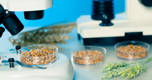 145 нарушений выявлено при ввозе подкарантинной продукции из третьих стран в РК