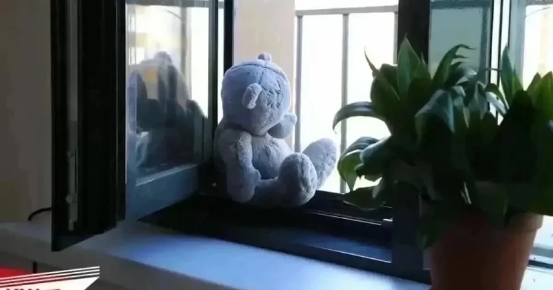 В Павлодаре 8 летнюю девочку поместили в приют после ее просьбы о защите