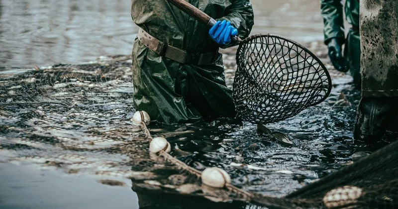 Іле өзенінде шілде айына дейін балық аулауға тыйым салынды