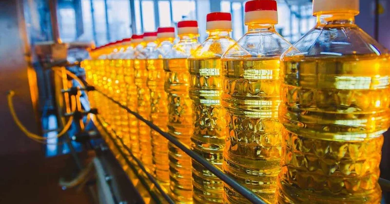 Қазақстан Қытайға күнбағыс майы экспортын арттырды