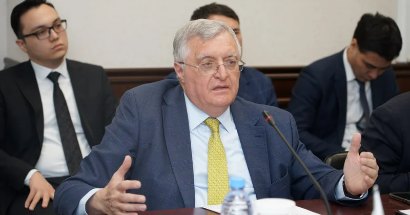 Казахстан следует глобальным тенденциям проведения конституционных референдумов грузинский дипломат