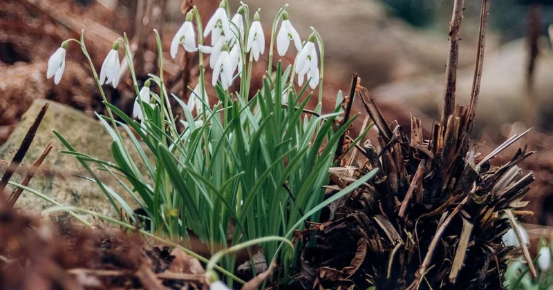 Солнечно и тепло будет в Алматы 18 марта