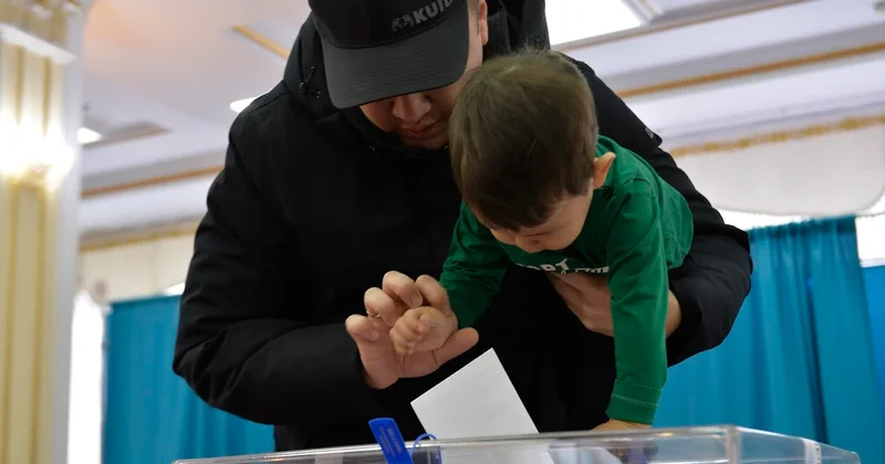 Референдум является проявлением зрелости политической системы и гражданского общества Казахстана белорусский политолог