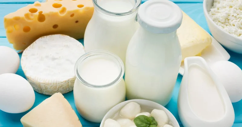 Сыр, творог, сметана: как изменились цены на молочные продукты в Казахстане