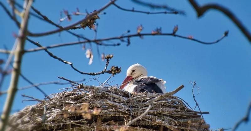 Ночью холодно, днём тепло прогноз погоды на 17 марта