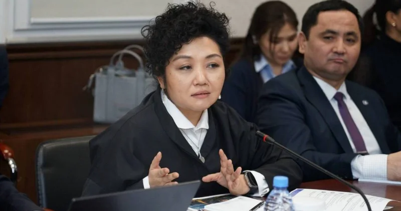 Жаңа Конституция цифрлық дәуірде адам құқықтарын қорғауды күшейтеді Әділ сөз қорының президенті