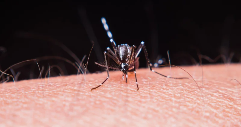 Алматыда безгектің сырттан әкелінген жағдайы тіркелді