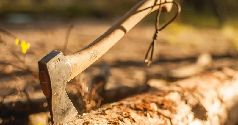 Мужчина зарубил топором двух людей в России