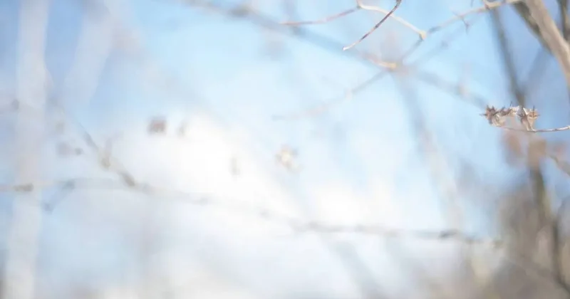 Прогноз погоды на 18 марта: плюсовая температура ожидается по всему Казахстану