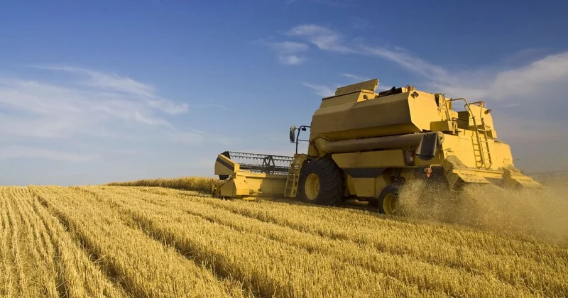 Обновление казахстанского АПК: какие плоды принесло изменение структуры сельхозпроизводства