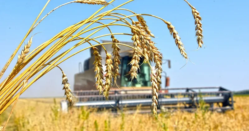 Қазақстан Тәжікстанға бидай экспортын 1,3 миллион тоннаға дейін арттырмақ