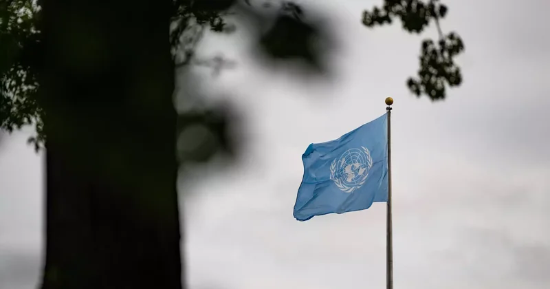 Ірі державалардан гөрі орта державалардың жауапкершілігі жоғары Тоқаев