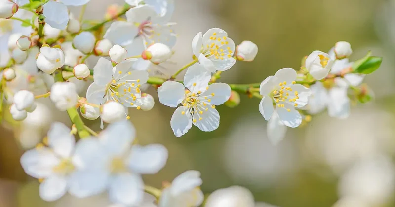 Тепло вернётся в Казахстан в выходные