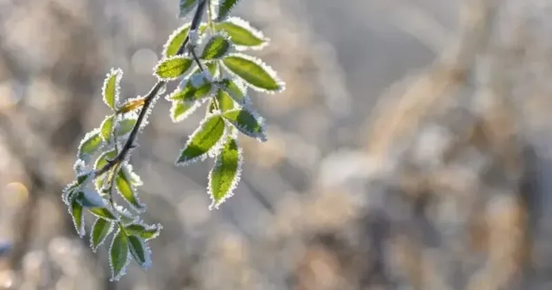 Қазақстанның 15 өңірінде ауа райы күрт нашарлайды: дауылды ескерту жарияланды