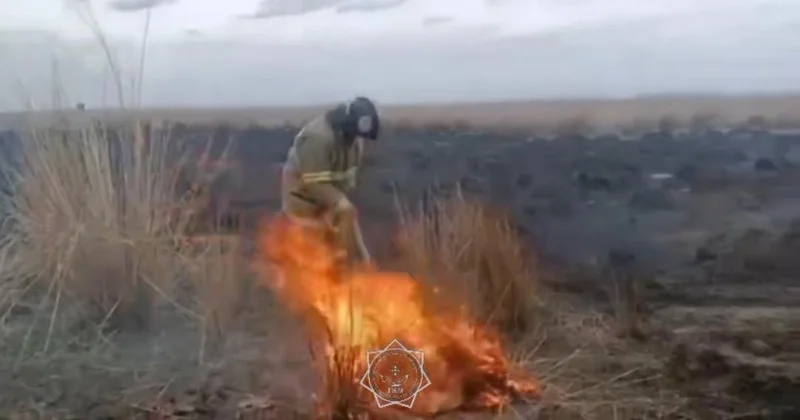 ШҚО да қамыс өртенді