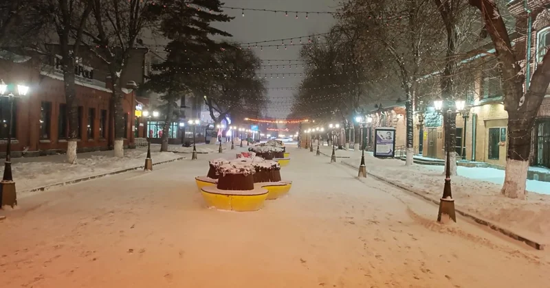 Реконструкция Конституции разозлила жителей Петропавловска