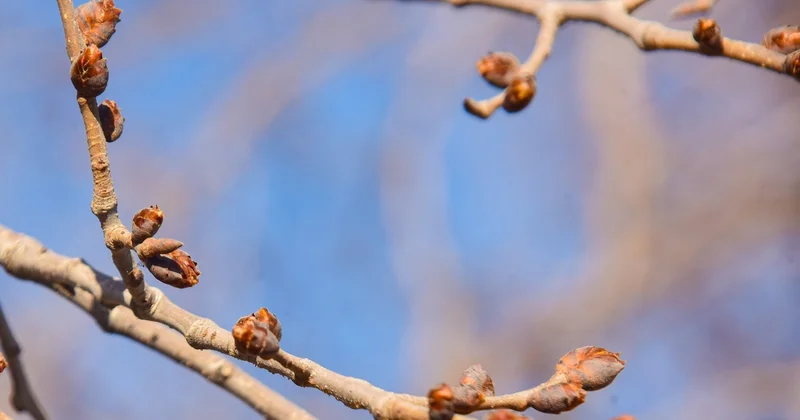 Еліміздің басым бөлігінде ауа райы тұрақсыз Қазгидромет