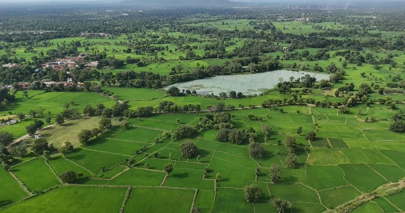 Қазақстанда жер телімдері бойынша электронды сауда саттық өткізу қағидалары өзгерді