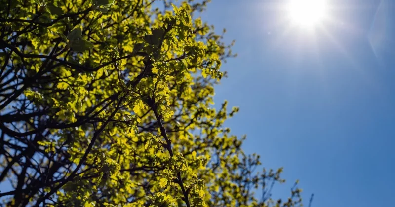 Потепление до +28 придёт в Казахстан