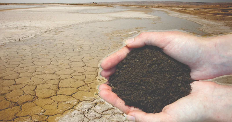 Астанада сарапшылар жердің тозуын тежейтін ғылыми тәсілдерді талқылады