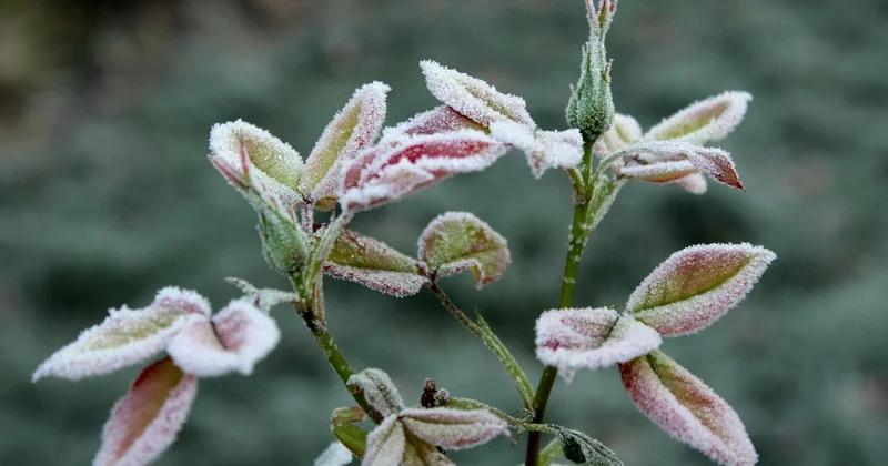Дождь, снег, гроза: ночные заморозки сохранятся в выходные в Казахстане