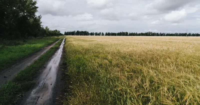 Казахстанцам объяснили, как получить бесплатные 10 соток