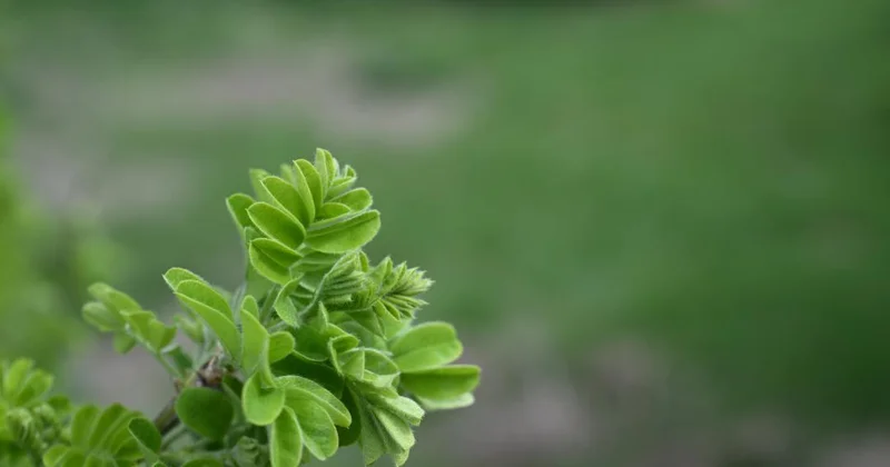 Табиғатпен үндескен өлке