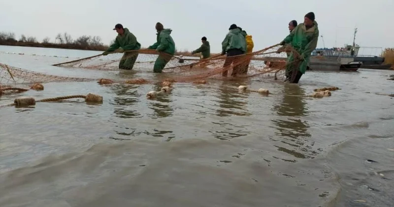 ​Атырауда балық өсіру шаруашылықтарына жер телімдері беріледі.