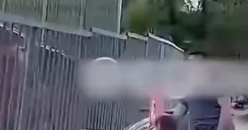 Кидали камни в вольер со львами: посетителя зоопарка наказали в Алматы