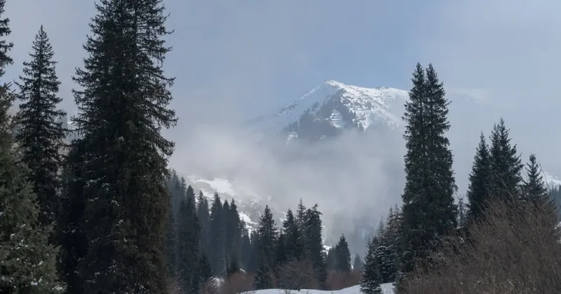 Общественные слушания по строительству курорта в Кок Жайляу пройдут в Алматы