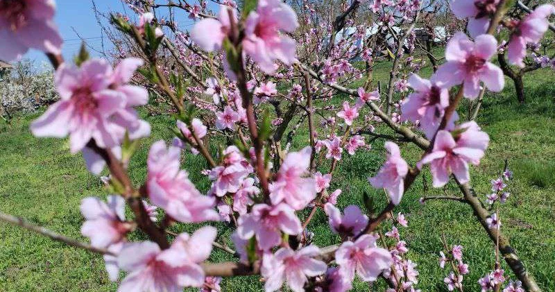 Весна как состояние души