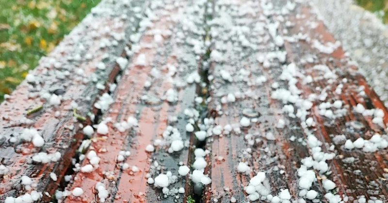 Дауыл, бұршақ: Жетісу облысында күн күрт суытады