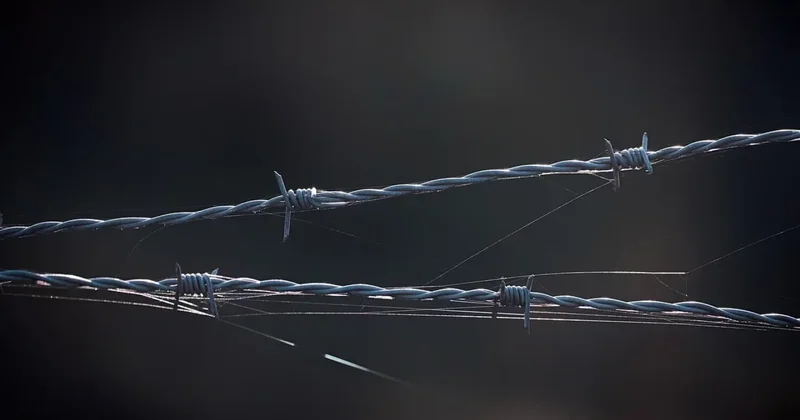 В колонии под Алматы заключённые создали ОПГ и вымогали деньги
